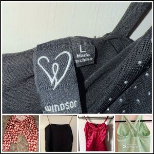 Tops and Windsor dress bundle